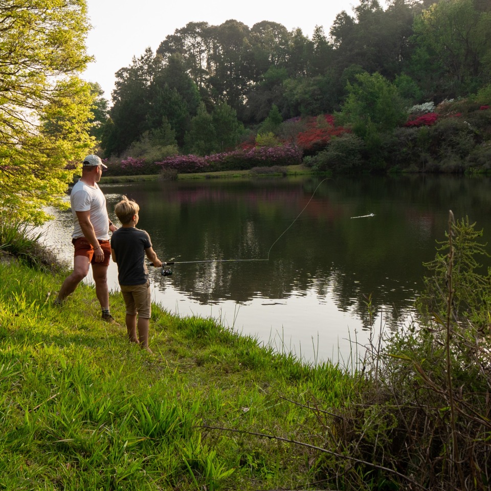 AfriCamps Magoebaskloof